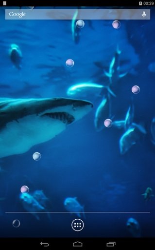 Angry Shark Live Wallpaper截图4