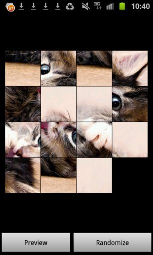 Adorable Kitten Puzzles FREE!截图3