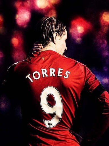 Fernando Torres HD截图4