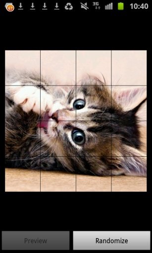 Adorable Kitten Puzzles FREE!截图7