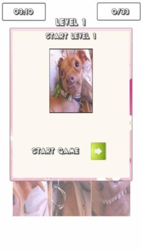 Tuna The Dog Puzzle Games截图4