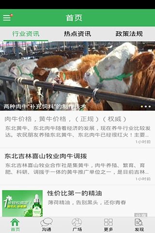 四川肉牛养殖截图5