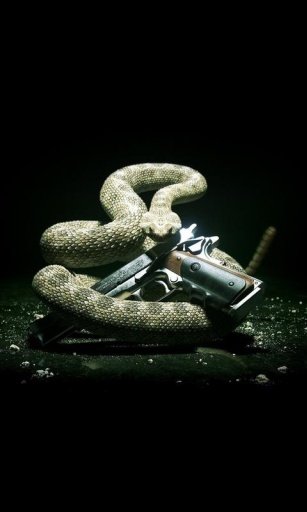 Lizard Snake Live Wallpaper截图5