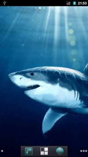 Shark HQ Live Wallpaper截图6