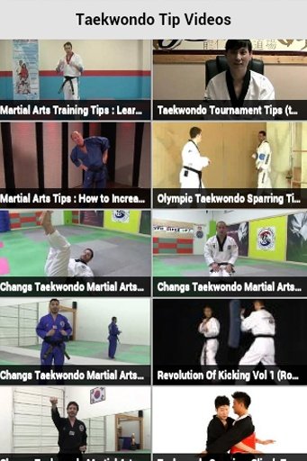 Taekwondo Tip Videos截图2