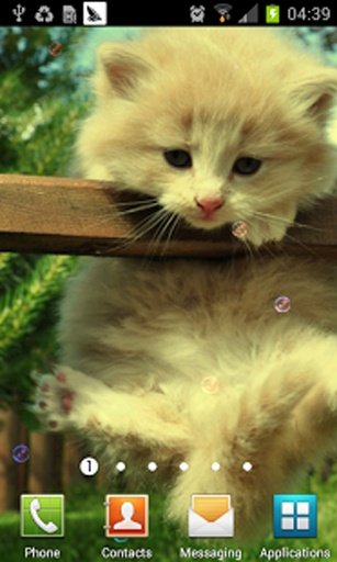 Dream Cat LiveWallPaper FREE截图6