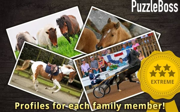 Horse Jigsaw Puzzles FREE截图3