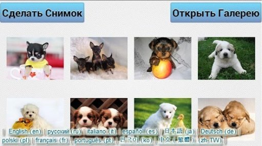 Small Dogs Puzzle &amp; Wallpapers截图4