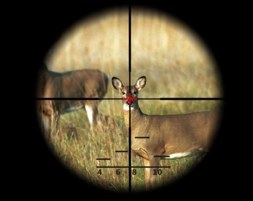 Deer Sniper Hunter截图4