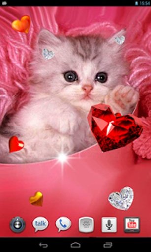 Valentine Kitties 2014 HQ LWP截图5