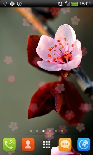 Spring Flowering Live Wallpaper Free截图1