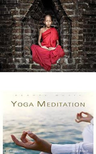 beginners yoga截图1