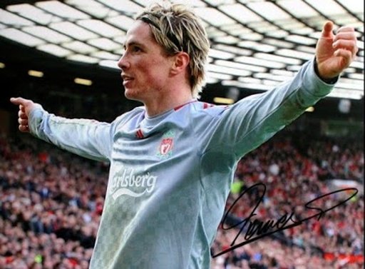 Fernando Torres HD截图5