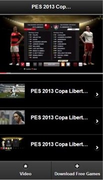 PES2013 Copa Libertadores截图