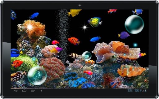 Fish Underwater live wallpaper截图1