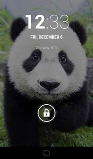 Cute Panda Live Wallpaper Free截图3