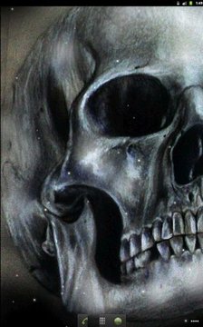 Skull&amp;Rose1 livewallpaper free截图