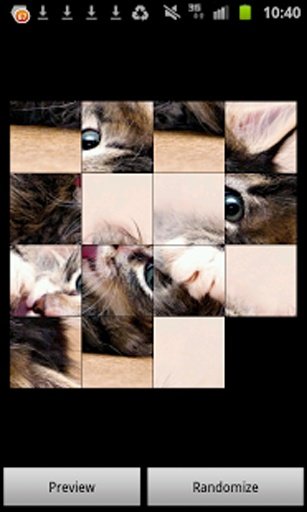 Adorable Kitten Puzzles FREE!截图5