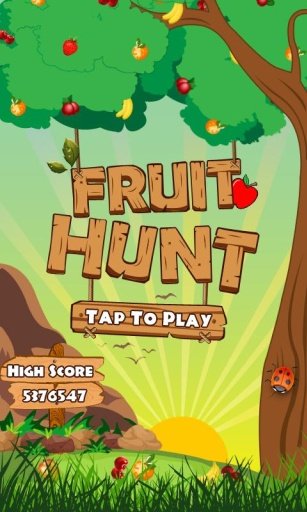 Fruit Hunt : Catch the Fruits截图6