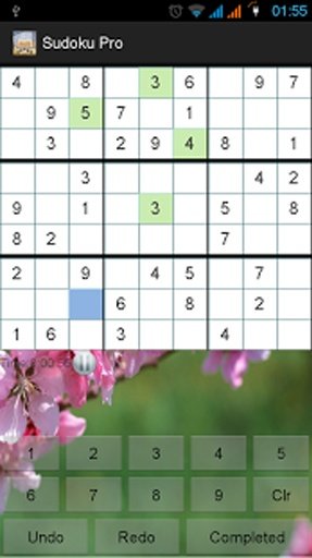 Sudoku Pro HD截图4