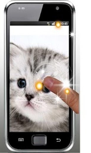 Plush Kitty HD Live Wallpaper截图5