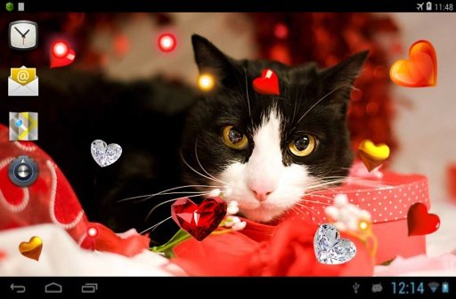 Valentine Kitties 2014 HQ LWP截图7