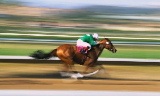 Horse Racing Free Games截图6