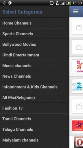 Indian HD TV截图8