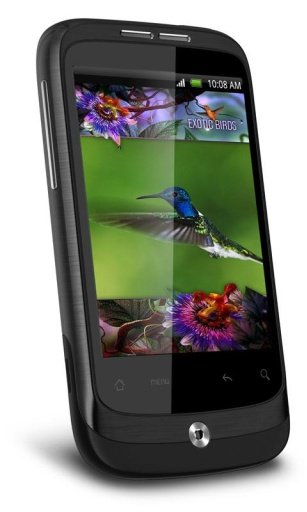 Colibri Tropic Live Wallpaper截图2