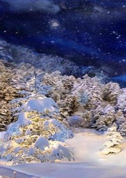 3D winter live wallpaper!截图