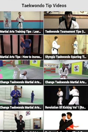 Taekwondo Tip Videos截图3