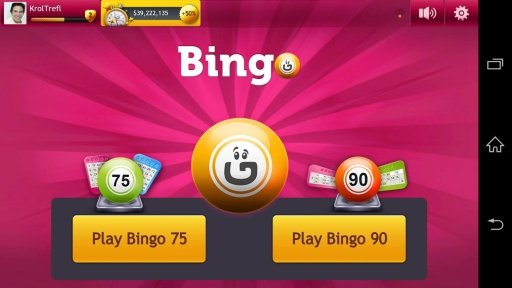 Bingo 75 & 90 by GameDesire截图3