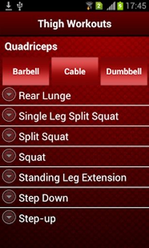 Thigh Workouts截图3