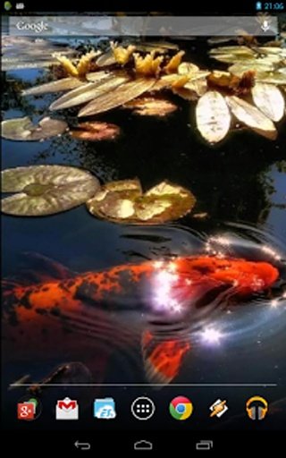 Koi Fish in the Pond截图6