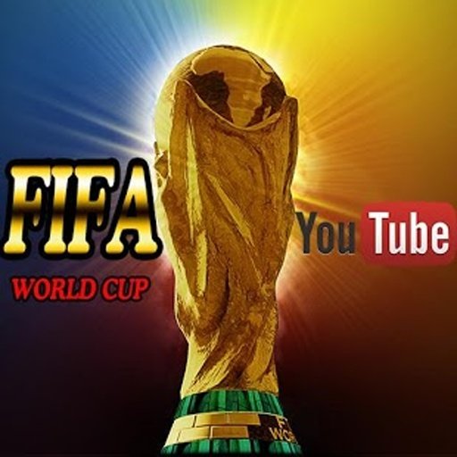 FIFA World Cupサッカー动画截图9