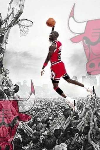 Chicago Bulls Live Wallpaper截图1