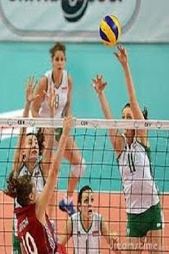 VolleyBall HD Game Free截图1