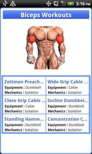 Biceps &amp; Triceps Workouts截图3