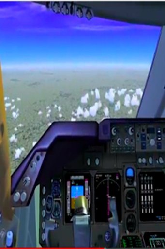 3D Flying Simulator截图4