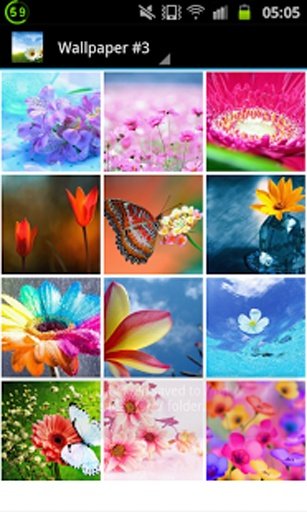 Flower Wallpapers Free截图1