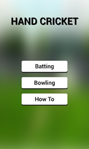 Hand Cricket 2截图6