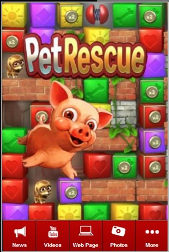 Pet Rescue Saga Fan App截图4