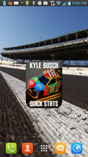 Kyle Busch NASCAR截图2