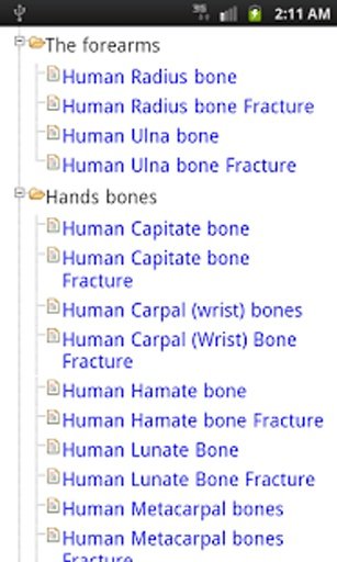 Human Bones learn free截图1