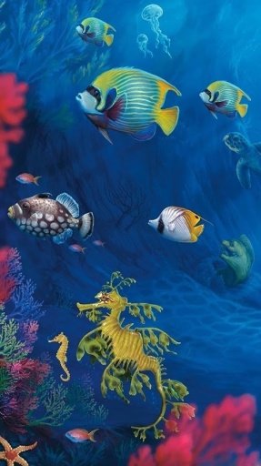 Aquarium HD Live Wallpapers截图2