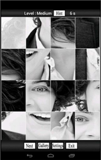 One Direction Fan Puzzle截图2