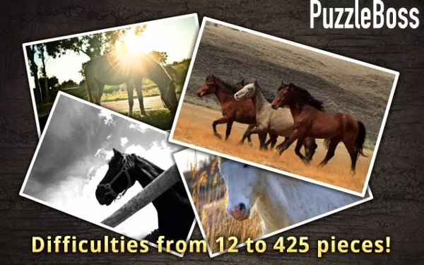 Horse Jigsaw Puzzles FREE截图1