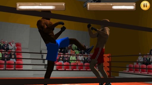 Wrestling Fight 3D截图5