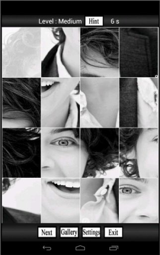 One Direction Fan Puzzle截图4