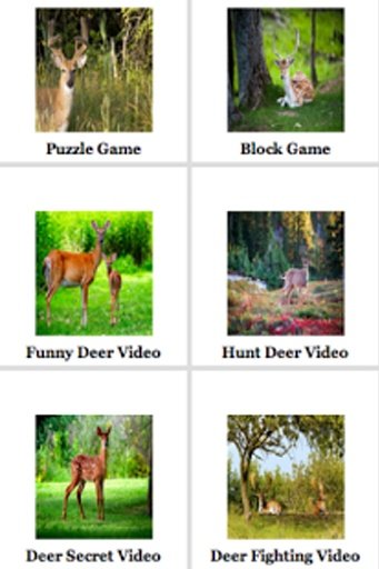 Deer Puzzle截图1